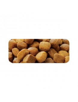 Equilibrio Puppy Large Breeds 2kg