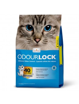 Intersand OdourLock unscented 10,5 +1,5kg Δώρο