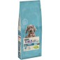 Tonus Dog Chow Puppy Large Breed Γαλοπούλα 14kg