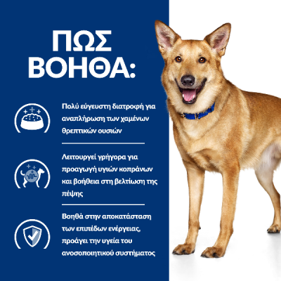 Hill's Prescription Diet Canine i/d Digestive Care Κοτόπουλο 10kg+2kg Δώρο