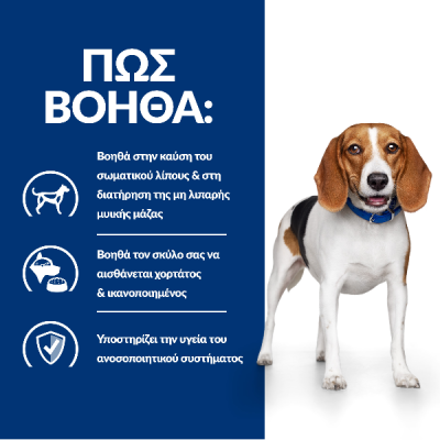 Hill's Prescription Diet Canine r/d Weight Reduction Κοτόπουλο 10kg