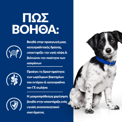 PD Canine i/d Stress Mini ActivBiome+ 1kg  Τροφή για Σκύλους