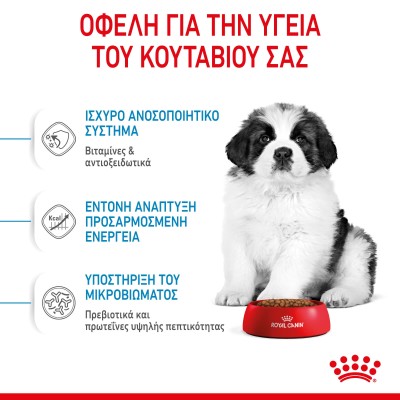 Royal Canin Giant Puppy 15kg