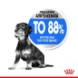 Royal Canin Mini Light Weight Care 3kg