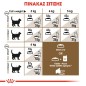 Royal Canin Ageing Sterilised 12+ 2kg