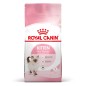 Royal Canin Kitten 36 2kg