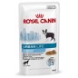 Royal Canin Urban Life Junior 10x150gr