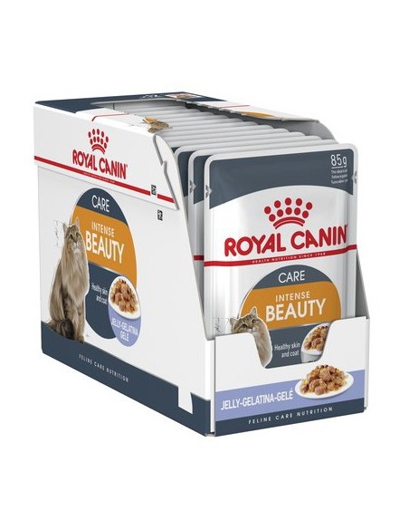 Royal Canin Wet Intense Beauty in Jelly 12x85g