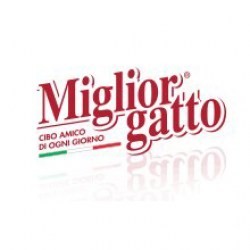 Miglior Gatto