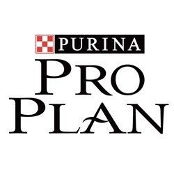 Pro Plan